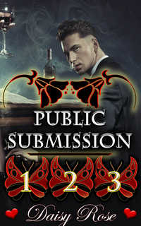 Public Submission 1 - 3 Public Submission 1 - 3