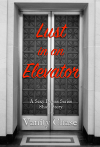 Lust in an Elevator Lust in an Elevator