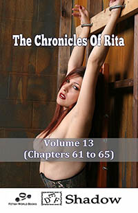 The Chronicles of Rita - Volume 13