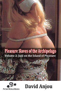 Pleasure Slaves of the Archipelago - Volume 3 by David Anjou