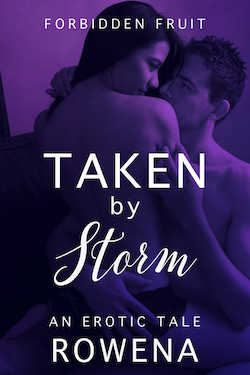 Taken by Storm by Rowena Risque