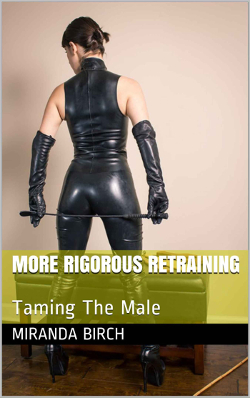 More Rigorous Retraining More Rigorous Retraining