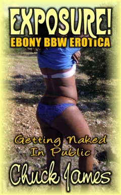 Exposure cover design for the book entitled Exposure