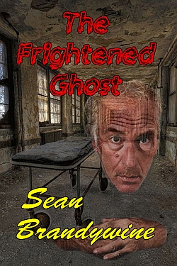 The Frightened Ghost