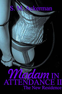 Madam in Attendance II: The New Residence