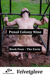 Penal Colony Nine Book Four by Velvetglove