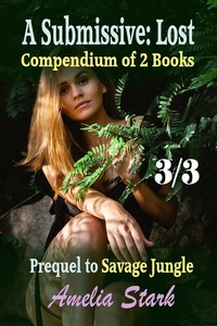 A submissive: Lost Compendium of 2 Books - Part 3 of 3 by Amelia Stark