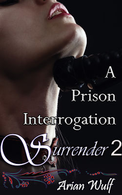 A Prison Interrogation Surrender A Prison Interrogation Surrender