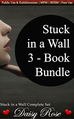 cover design for the book entitled Stuck In A Wall 3-Book Bundle