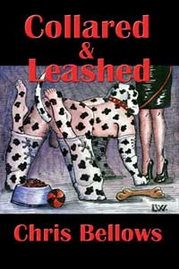 Collared & Leashed Collared & Leashed