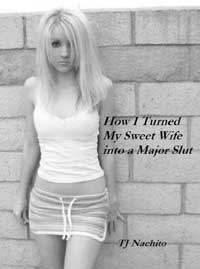 How I Turned My Sweet Wife Into A Major Slut