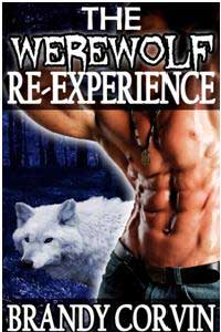 The Werewolf Re-experience The Werewolf Re-experience