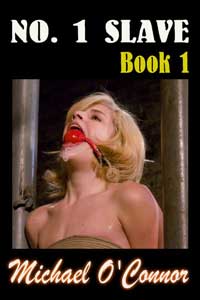 No 1 Slave (book One)