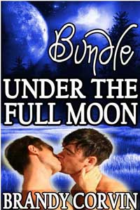 Under The Full Moon Series Bundle Under The Full Moon Series Bundle