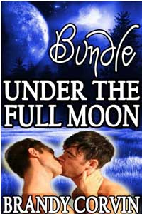 Under The Full Moon Series Bundle by Brandy Corvin