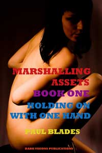 Marshaling Assets Book 1 Marshaling Assets Book 1