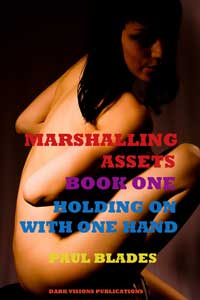 Marshaling Assets Book 1 by Paul Blades