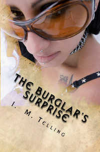 The Burglar's Surprise The Burglar's Surprise
