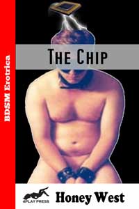 THE CHIP THE CHIP