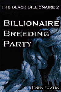 The Black Billionaire 2: Billionaire Breeding Party