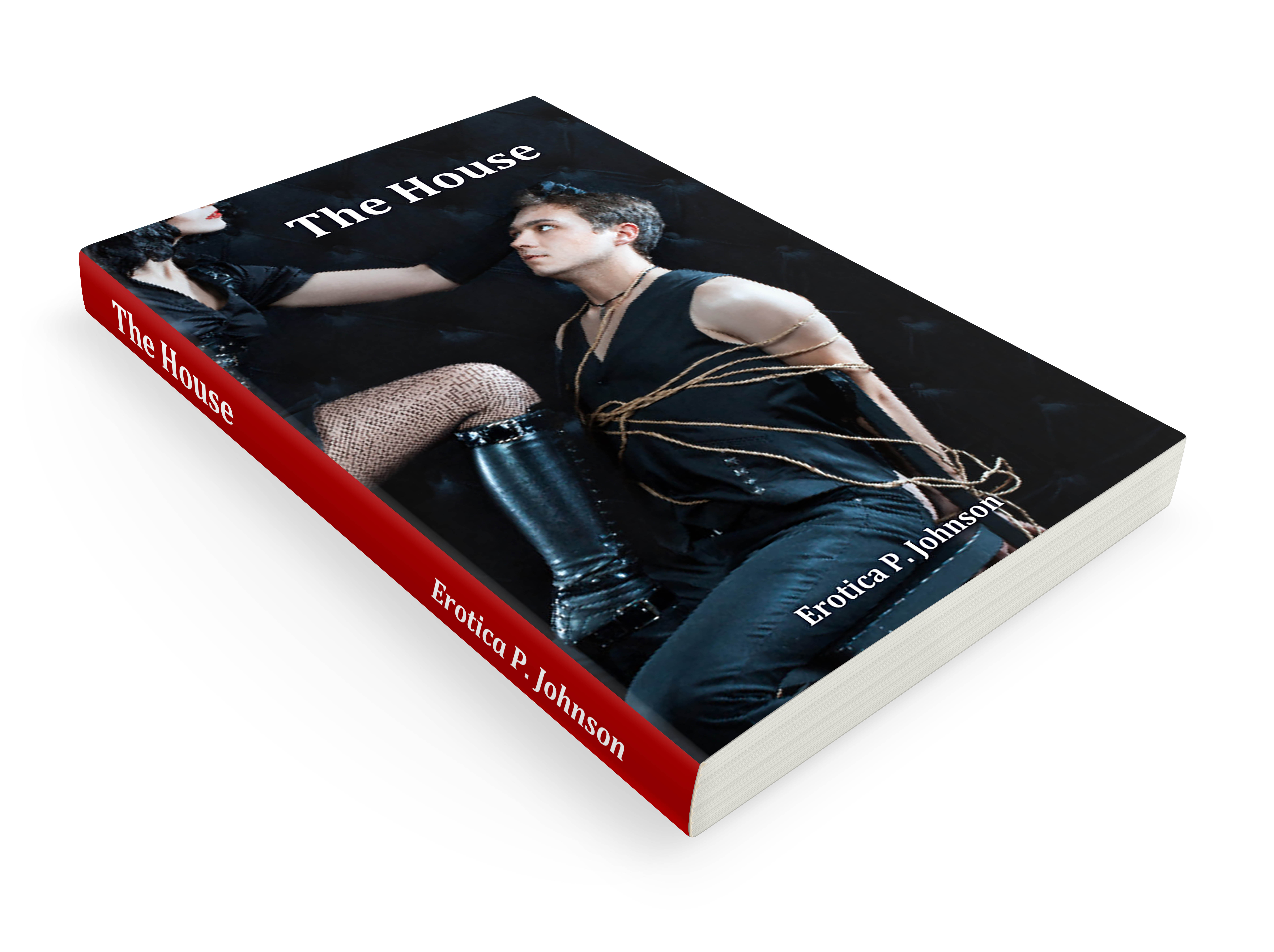 THE HOUSE by Erotica P Johnson
