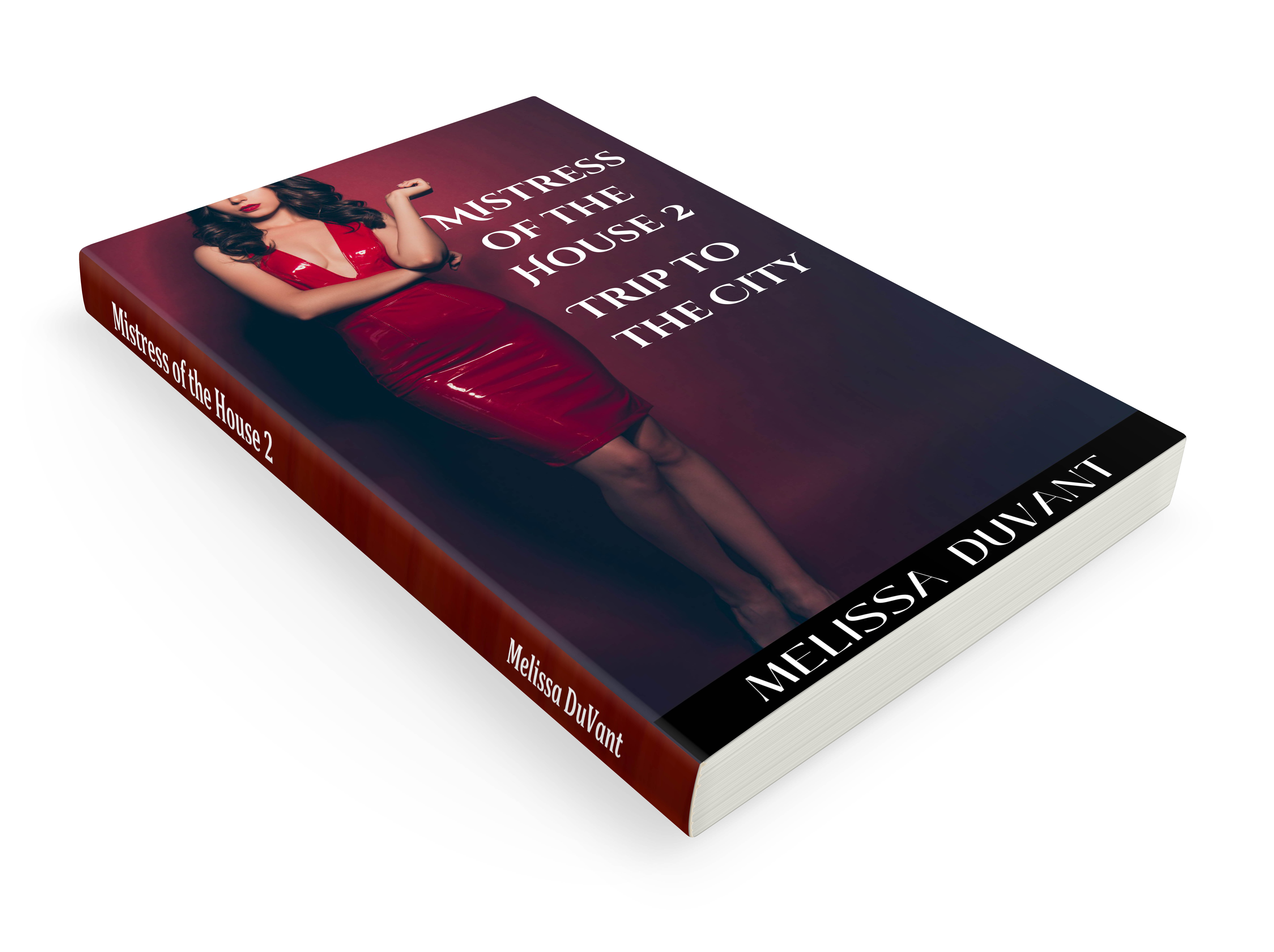 Mistress of the House 2 - Trip to the City by Melissa DuVant
